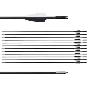 31" Training Arrows-Archery Practice Target Arrows for Kids Youth or Beginners with Durable Shaft on Recurve Bow Compound Bow and Longbow