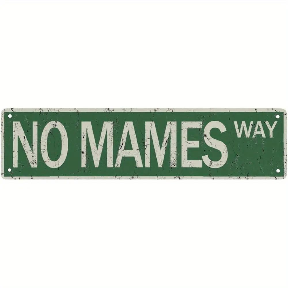 Vintage-Style Metal Tin Road Sign - Funny Street Decor, 4x16 Inches, No Power Needed, Metal Outdoor Decor, Wall Decor