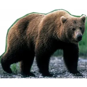 Grizzly Bear Life-Size Cardboard Stand-Up