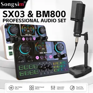 Songsim-SX03 & BM800 Professional Vocals Mixing Kit | Independent Channel Controls | Effects Settings | High-Definition Display Screen | Ideal for Karaoke, KTV, and Live Streaming (Atmosphere Enhancement Set)