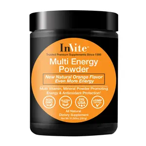 InVite Multi Energy Support Powder - Advanced Multivitamin Mineral Supplement with Amino Acids Enzymes & Antioxidants for Energy & Antioxidant Protection