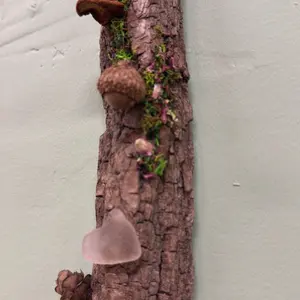 Driftwood Decor Driftwood Decor