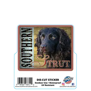 Boykin on Boards Sticker