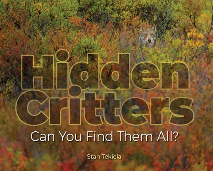 USED-Hidden Critters: Can You Find Them All? by Tekiela, Stan (Hardcover)