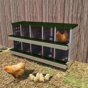 Metal Chicken Nesting Box for Laying Eggs, Rustproof Wall-mountable Roll Away Chicken Laying Boxes for Hens, Waterproof, Ventilated with Perch, 10 Compartments, Green
