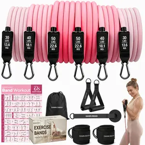 [DAWN SWAN] Resistance Bands for Working Out, Anti-Snap Exercise Bands with Handles, No-Friction Workout Bands Set for Women & Men, Gradient Color Home Gym Equipment for Strength Training & PT