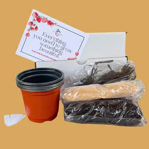 Strawberry Grow Kit | Plants, Soil, Pots, and Instruction Included! | From Hand Picked Nursery