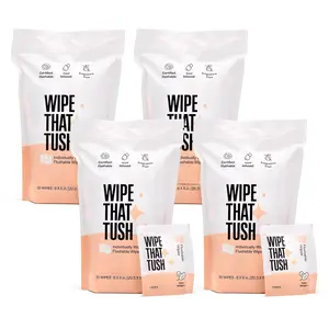 Wipe That Tush On-The-Go Flushable Wet Wipes - 4 Pack, 120 Wipes - Individually Wrapped Extra-Large Wipes with Aloe -  & Unscented - Septic and Sewer Safe