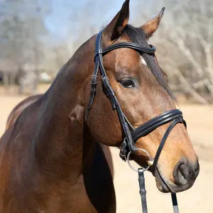 Jeffers Uniquely English "Aachen" Leather Dressage Bridle with Reins for Horses