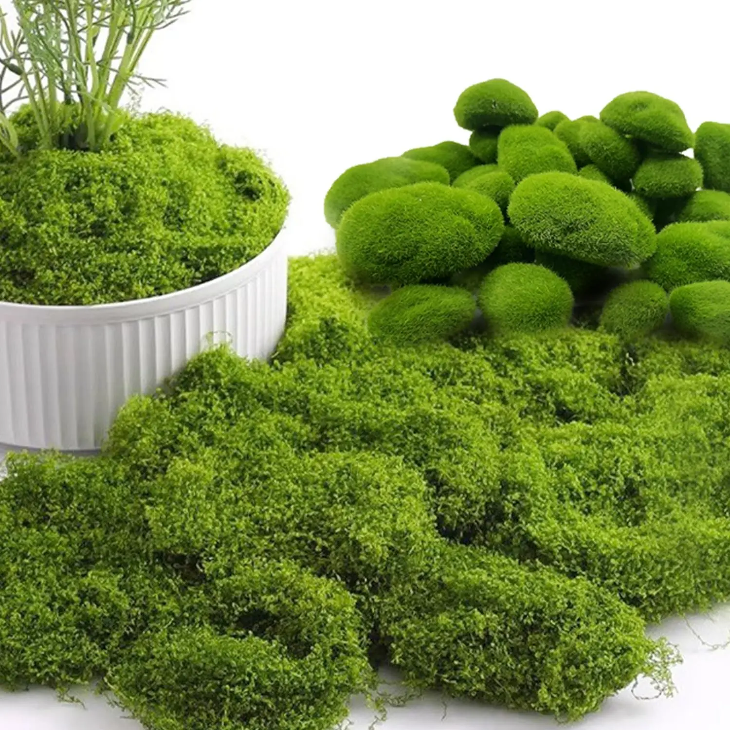 Bring the forest indoors, without the mess. 🌿 Lifelike faux moss for fairy gardens, centerpieces & vase filler. Zero maintenance, forever green. #FauxMoss #FairyGarden #WeddingCenterpiece #DIYDécor #TableDecor
