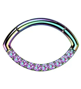 Rainbow PVD Oculus CZ Titanium Hinged Segment Ring