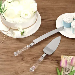 2 Set Stainless Steel Knife and Server 10" & 12" with Clear Acrylic Handle - Party Favors Gift Box Included
