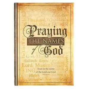 USED-Praying the Names of God by Christian Art Gifts (Corporate Author) (Hardcover)