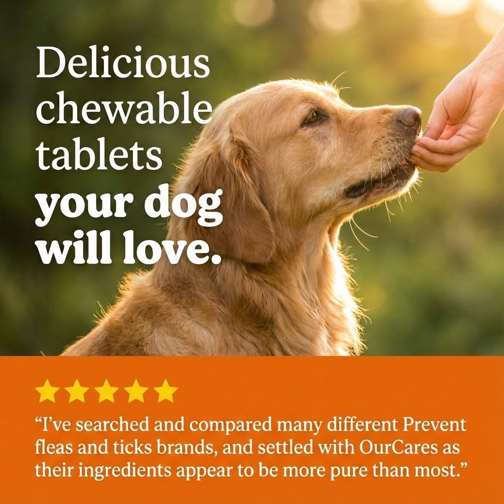 OURCARES Flea & Tick Prevention Support Chews for Dogs – Nutritional Supplement, Not a Treatment – 120Count, Plant-Based Chicken Flavor with Probiotics, Coconut Oil, Flaxseed & Fish Oil – For All Breeds and Ages #Summervibes #DealsForYouDays