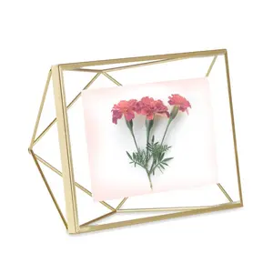 Umbra  4 x 6 in. Prisma Picture Frame Floating Wall Photo Display - Matte Brass