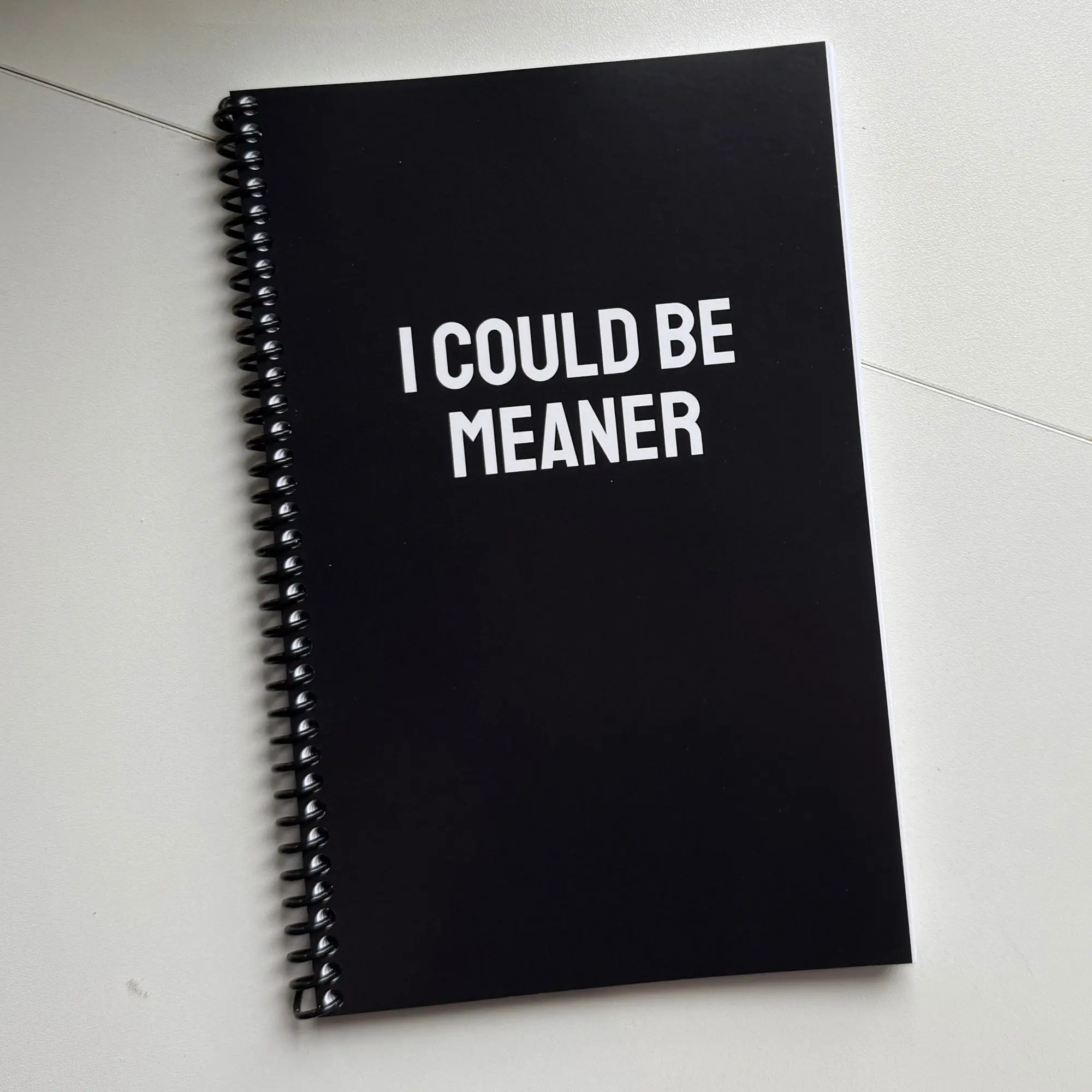 I Could Be Meaner Notebook I Could Be Meaner Notebook