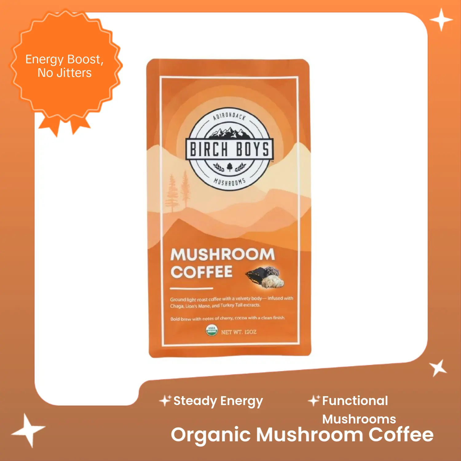 Organic Wild-Harvested Mushroom Coffee, Nutrient-Rich Wellness Supplement Coffee, Nutrient Rich Coffee
