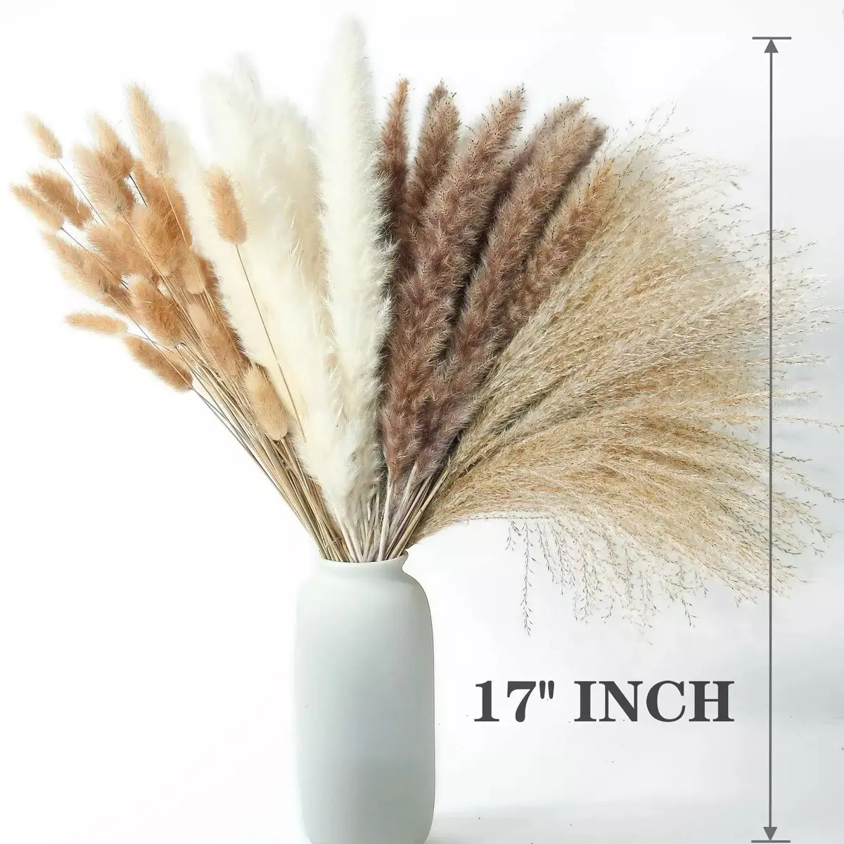 Dried Natural Pampas Grass- 17 inch Natural Dried Pompas Grass Decor - Pampas Tall Large Fluffy - Beige Pompous for Wedding Boho Home Decor or Gift Decorative Plants
