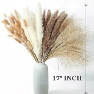 Dried Natural Pampas Grass- 17 inch Natural Dried Pompas Grass Decor - Pampas Tall Large Fluffy - Beige Pompous for Wedding Boho Home Decor or Gift Decorative Plants