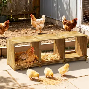 Bingopaw Hens Nesting Boxes, Set of 3 Solid Wood Chicken Nesting Box, 3 Compartment Design, Ventilated Pine Poultry Laying Box for Chicken Coop