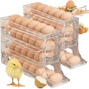 Transparent Egg Holder, 2 Counts 4 Tiers Egg Holder for Fridge, Auto Rolling Egg Storage Organizer, Space Saving Egg Tray in Kitchen