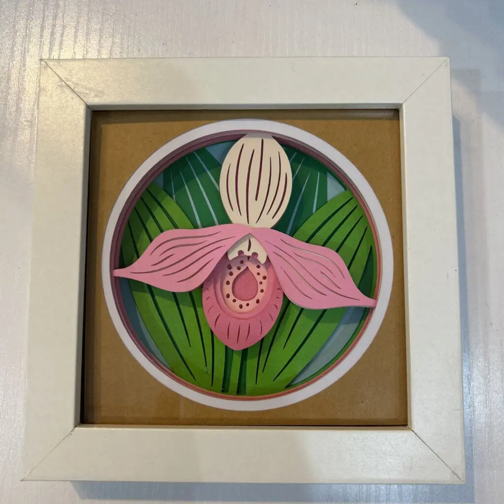 Framed Lady Slipper Shadowbox