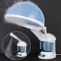 Hair & Facial Steamer