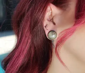 Gold Obsidian Single Flare Plugs – Polished Gauges (Pair)