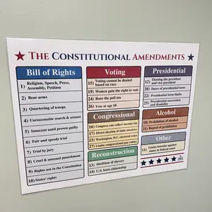 Constitutional Amendments Laminated Poster | Bill of Rights Anchor Chart | Social Studies Classroom Decor