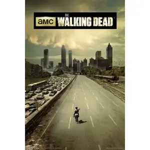 Walking Dead Highway Poster