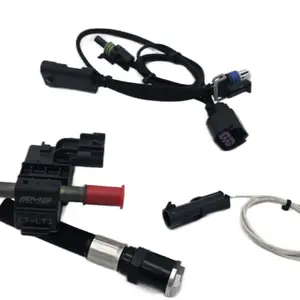 SMGSpeed Flex Fuel Kit SMGSpeed Flex Fuel Kit