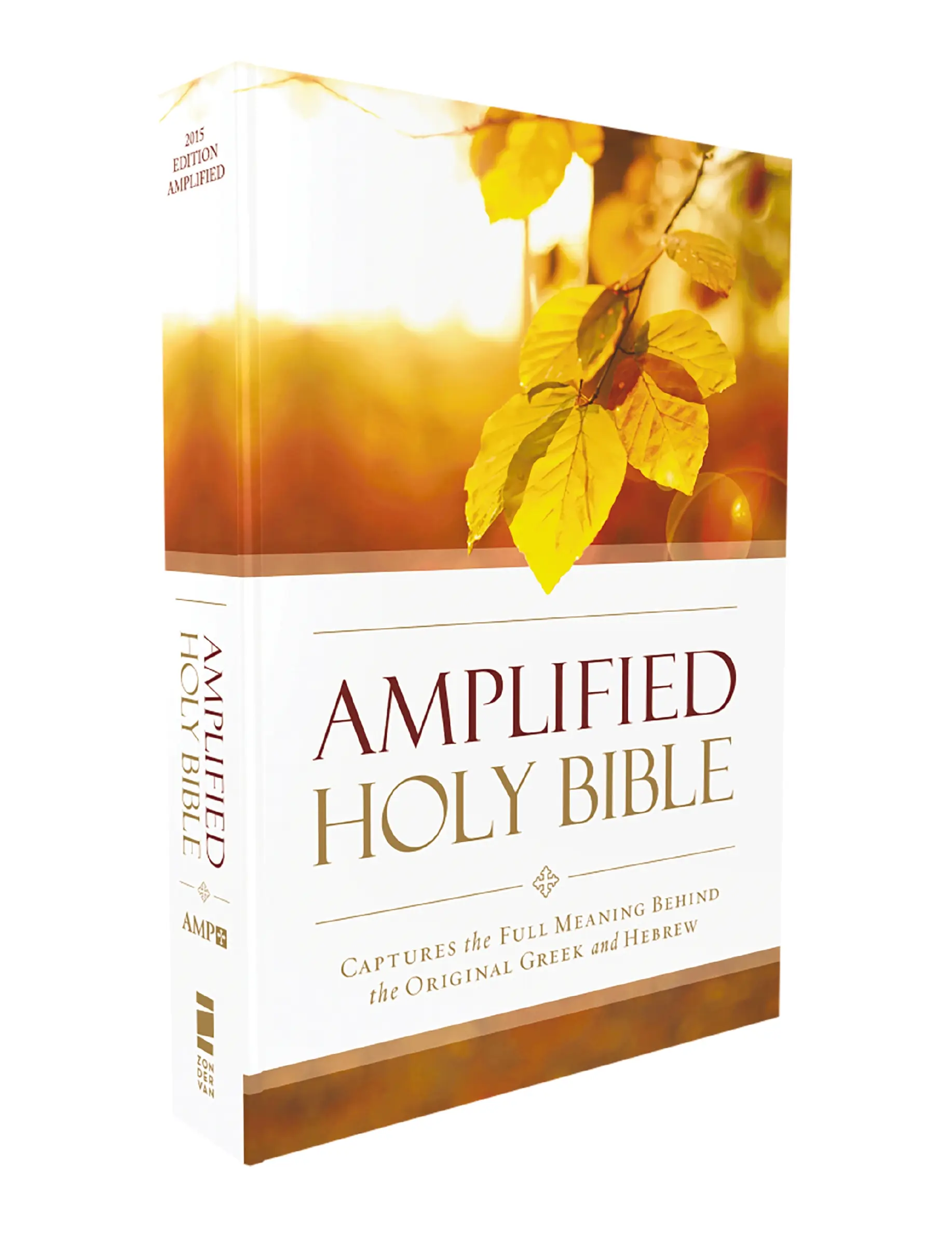 Amplified Outreach Bible, Paperback: Capture the Full Meaning Behind the Original Greek and Hebrew by Zondervan [Paperback Book]