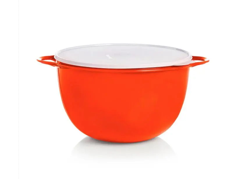 59 cup Thatsa Jumbo bowl with seal