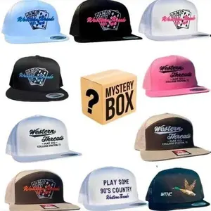 [BEST 2026] One Hat Box Sent, Embroidered Hat Western Threads, Duck Flying Cap, Outdoor Cap Gift Box for Men & Women