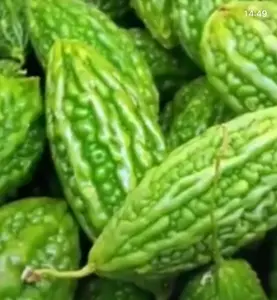 Mara Bitter Melon Seeds