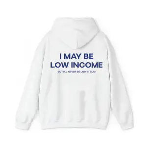 Funny Hoodie Graphic – "I May Be Low Income" Statement Shirt for Men & Women, Gift for Her and Him, Vibes