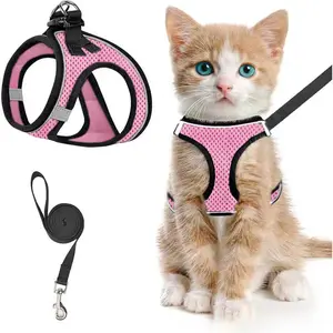 Reflective Breathable Mesh Harness + Leash Set (Cool Kitten Stuff) - Anti-Slip, Adjustable, No-Escape, Bite-Resistant Pet Accessory for Small Cats & Kittens, Ideal for Outdoor Walking & Training, Gift Idea with Inflatable Balls (Summer Vibes)