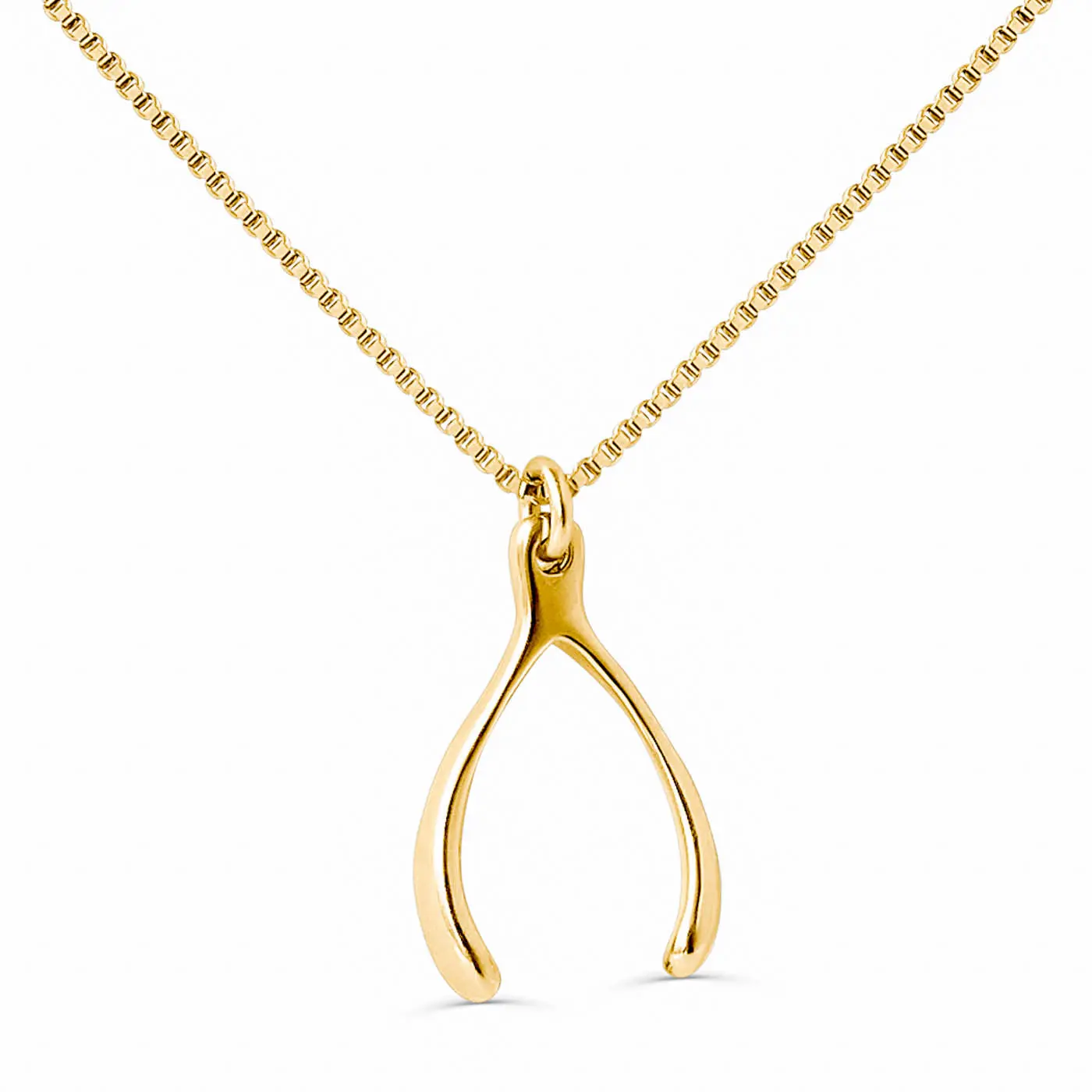 Lucky Wishbone Necklace - Gold Pendant with Chain