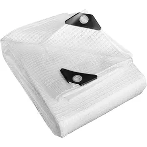 -10 Mil Clear/White 20X30  Tarp-Heavy Duty Clear Mesh Tarp- Tarp, UV Resistance,Greenhouse, Canopy, Tent, Yard and Outdoor Activities