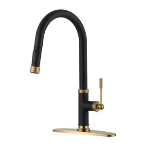 WOWOW Single-Handle Pull-Down Sprayer Stainless Steel Kitchen Faucet - Black and Gold Finish, 2 Water Modes