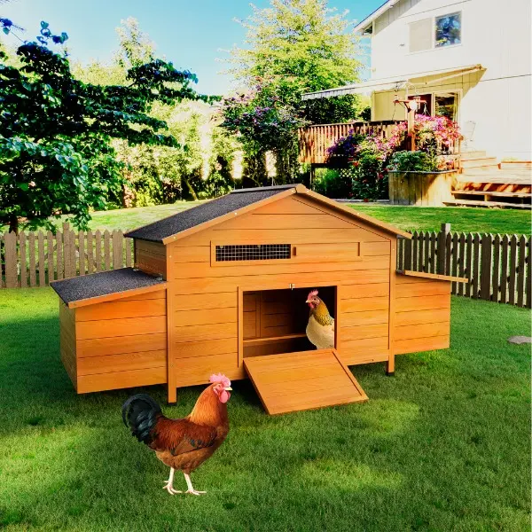 Solid Wood Chicken Coop for Backyard Chickens - Predator-Safe Hen House with Secure Access, Double Door, Perch, Nesting Box, Waterproof Roof, Ventilation, Pull-Out Tray, Strong Latches, All-Seasons Use