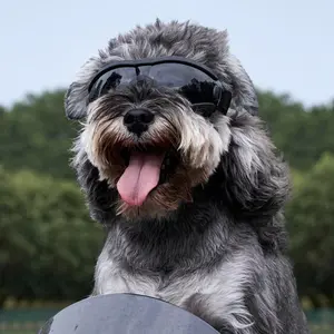 Pet Dog Goggles – UV Protection Sunglasses for Dogs & Cats | Windproof Outdoor Riding Glasses, Cool Pet Eye Protection, Motorcycle Driving Goggles