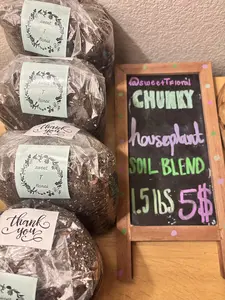 Chunky Houseplant Soil Blend