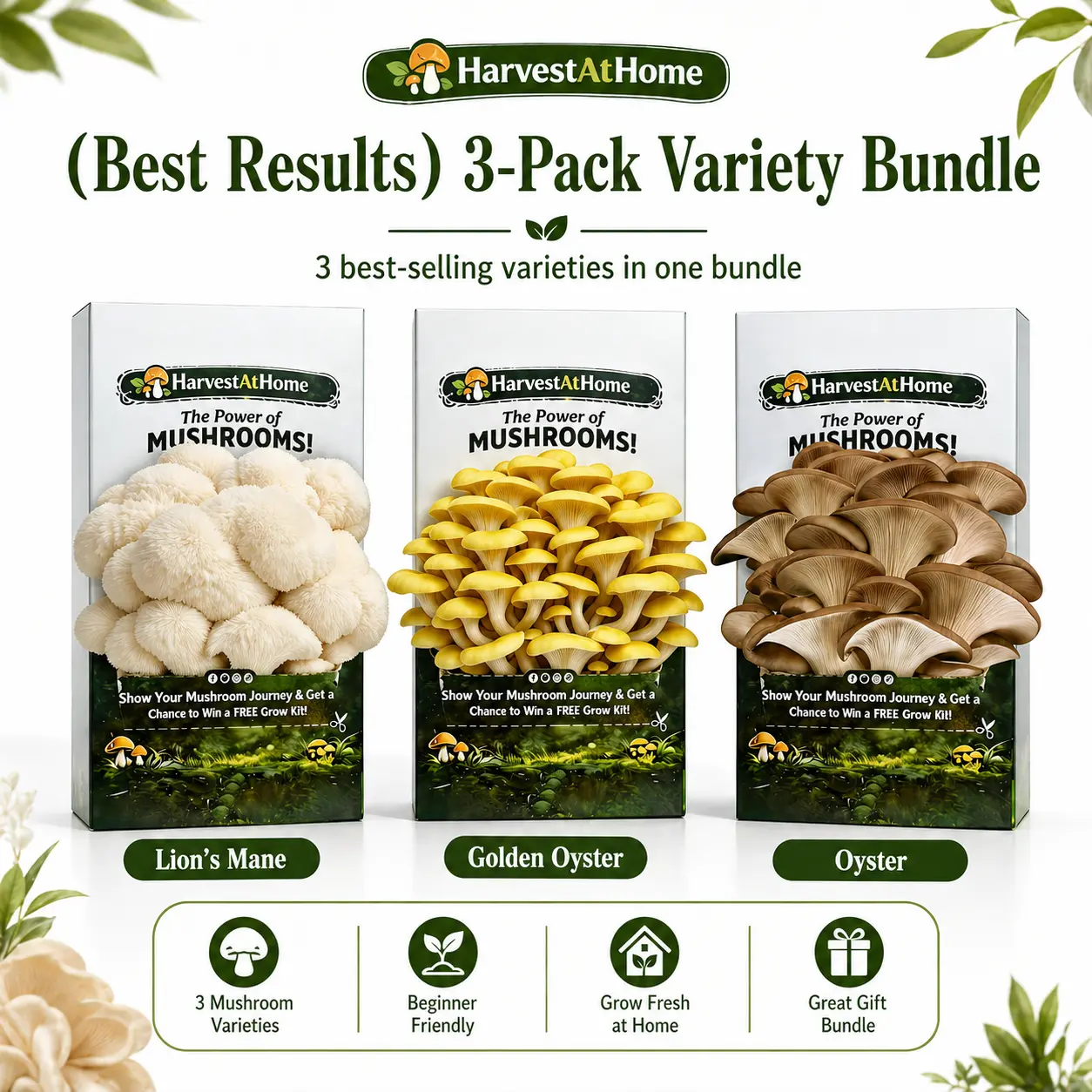 3-Pack Mushroom Kit
