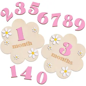 3D Wooden Daisy  Monthly Milestone Sign Cards 1-12 Months Interchangeable Monthly Milestone  Discs Announcement Sign for  Shower  Photo Props Gifts()
