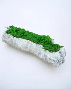 LVM - Moss in Cement Driftwood Centerpiece - 4" x 15"