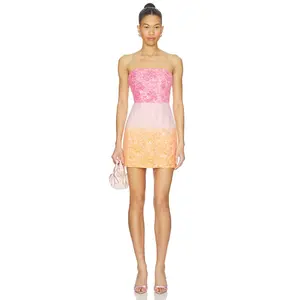 ELLIATT Lumira Strapless Mini Dress in Pink Ombre