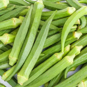 Organic Perkins Long Pod Okra Seeds (Abelmoschus esculentus) – High-Yielding Variety, Long, Tender Pods, Great for Frying and Pickling – 20+ Seeds