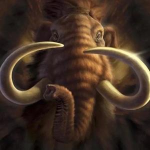 VintagetoolKnivesRUS