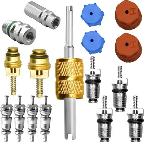 17 count Air Conditioning Valve Core Kit, R12 to R134a Conversion Kit R134a Valve Core A/C Refrigeration System, AC Valve Kit AC Valve Core  AC Service Port Seal Cap Valve Kit